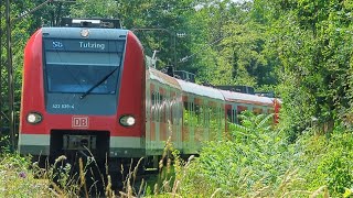 Verschiedene Züge bei Ebersberg Oberbayern [upl. by Baptlsta972]