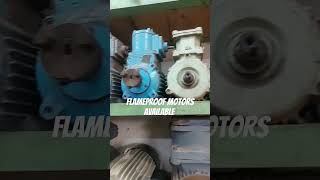 delhi flameproof motor induction copper winding new crompton abb kirloskar pump [upl. by Yrellam]