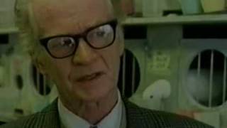 BF Skinner  Operant Conditioning and Free Will [upl. by Ennairek]