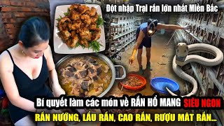 Nuôi rắn hổ mang kiếm tiền tỉ Cách chế biến các món ăn từ rắn hổ mang siêu ngon  Viet Nam Food [upl. by Lazarus]