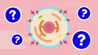 Emerging Therapeutics for APOL1Mediated Kidney Disease [upl. by Wack]