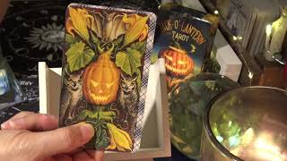 JackOLantern Tarot  Full Flip Through [upl. by Aenert995]