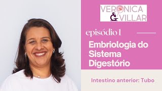 Embriologia do sistema digestório Episódio 1 [upl. by Filide]