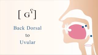 ɢˁ  voiced unaspirated pharyngealized dorsal uvular stop [upl. by Prakash]