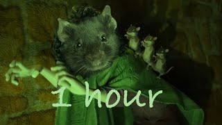 Bruno but its all rats  1 hour [upl. by Somerset339]