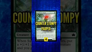 NEW Pauper Counter Stompy [upl. by Leonard105]