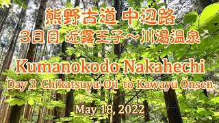 熊野古道 中辺路 3日目 近露王子～川湯温泉／Kumanokodo Nakahechi Day 3 ChikatsuyuOji to Kawayu Onsen [upl. by Gipsy]