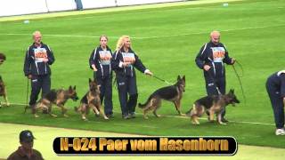 2010 SV BSZS NKGR part 16 Paer vom Hasenborn HD [upl. by Osicnarf]