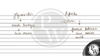 What is the difference between a glycosidic linkage and peptide linkage [upl. by Atinahc]