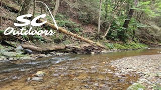 Fun Day on the Local Stream  Just Before Summer Fully Sets In [upl. by Dillon371]