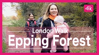 Epping Forest 4K Walkthrough for Beginners  Day Hike Sunday  🇬🇧 Hiking in the UK [upl. by Fonseca]