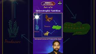 7 What is Heterotrophic Mode of Nutrition Class 10 Biology Chapter 1 Life Processes [upl. by Raymund]