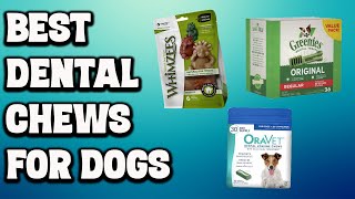 Best Dental Chews for Dogs  Top 5 Dog Dental Chews [upl. by Eugenle605]