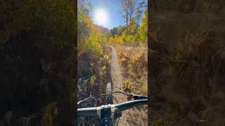 Beautiful Fall Colors are out in TAHOE mtb laketahoe fall [upl. by Lotsyrc]