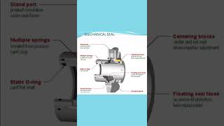 Mechanical seal [upl. by Anees]