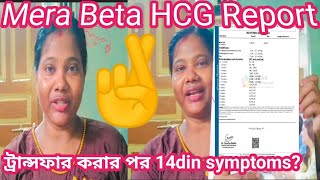 BetsHCG report 🙏hindibengoli transfer korar 14diner modhe kono symptoms chilo [upl. by Kowtko]