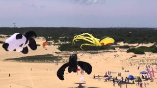 32nd Annual Rogallo Kite Festival  Nags Head NC [upl. by Rriocard]