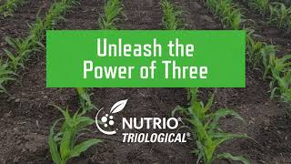 Unleash the Power of Three with NUTRIO TRIOLOGICAL [upl. by Gemoets847]