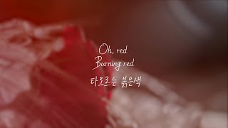 Taylor Swift  Red 한글가사해석 [upl. by Petula750]