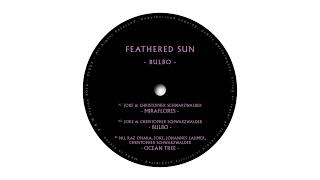 Feathered Sun Feat JoKe  Bulbo [upl. by Adnirolc]