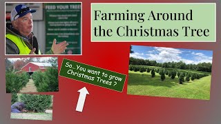 Farming Around the Christmas Tree 18 HD 720p [upl. by Inerney]