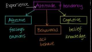 Components of Attitudes [upl. by Janel]