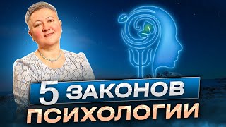 Пять законов психологии [upl. by Lorak]