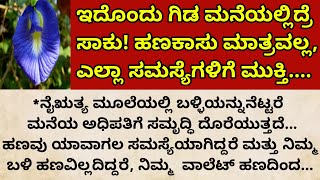 ಇದೊಂದು ಗಿಡ ಮನೆಯಲ್ಲಿದ್ರೆ ಸಾಕುಹಣಕಾಸು ಮಾತ್ರವಲ್ಲ ಎಲ್ಲಾ ಸಮಸ್ಯೆಗಳಿಗೆ ಮುಕ್ತಿShanka Pushpa Benefits [upl. by Ailic]