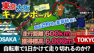 自転車で2127mの麦草峠を超えて東京から大阪に１日でたどり着けるのか試してみた【東京大阪キャノンボールR299麦草峠超え】 [upl. by Ayekim]