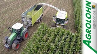 Maisernte 2k14 mit AGROLOHN  Claas Jaguar Krone Big X Fendt John Deere [upl. by Shultz]