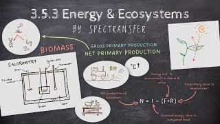 EASY REVISION AQA ALevel Biology 353 Energy amp Ecosystems [upl. by Llewsor]