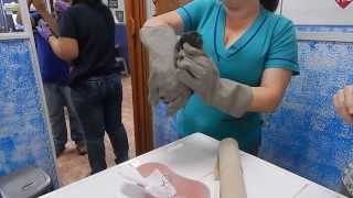 Removing Botfly Larva from Infant Howler Monkey [upl. by Corabel]