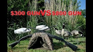 Best Duck and Goose Shotgun for the MONEY Waterfowl Hunting for Beginners [upl. by Irwin]