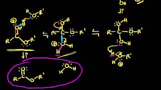 Preparation of esters via Fischer esterification  Organic chemistry  Khan Academy [upl. by Amuh969]