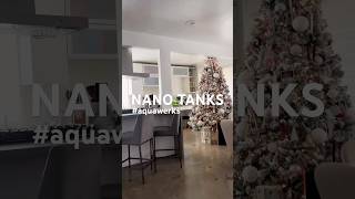 Freshwater nano tanks aquarium plantedtank nanotank viralshort fishtank love music topgun [upl. by Saisoj]