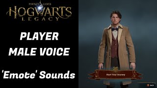 Hogwarts Legacy  Player Male Voice Emote Sounds [upl. by Lonny]