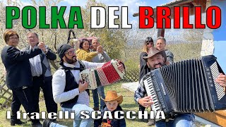 POLKA DEL BRILLO nuova polka creata da NICOLA SCACCHIA depositata da Enzo Scacchia ORGANETTO [upl. by Eugenides]