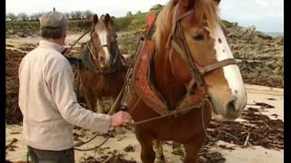 Le laboureur goémonier du Léon et son cheval de trait [upl. by Maccarthy]