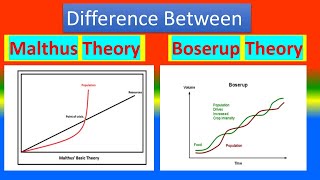 Difference Between Malthus Theory and Boserup Theory [upl. by Osterhus]