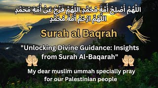 quotThe Magnificent Surah AlBaqarahs Significance and Impactquotqurankareemsurahalbaqarahviralvideo [upl. by Scotti]