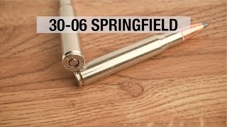 3006 Springfield A Classic Centerfire Cartridge [upl. by Rogozen61]