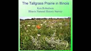 The Tallgrass Prairie in Illinois [upl. by Lyrrad]