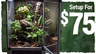 Can I Set Up a Vivarium for 75 [upl. by Cynthea]