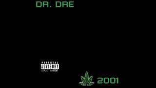 053DrDre  The WatcherMP3 [upl. by Riesman48]