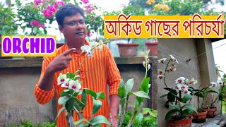 How to care for orchid plant BengaliEasy step for beginners [upl. by Statis]