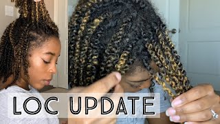 Starter Locs Two Strand Twist Method  23 Week Loc Update Loc Journey [upl. by Yaj166]