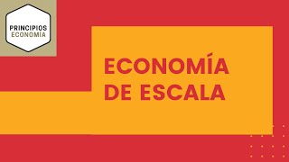 Economía de escala  Explicación sencilla  Cómo funciona y calcular economía de escala [upl. by Krug]