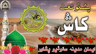 Pashto Naat  New Naat 2024  Madinah  Ibrahim Ajiz  By Iman E Madina Studio [upl. by Kurzawa31]