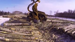 Harvesting Head Tigercat TH575 [upl. by Repohtsirhc]