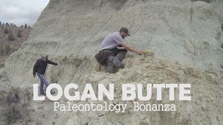 Logan Butte Paleontology Bonanza [upl. by Llerred247]